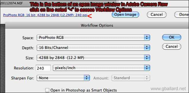 camera raw photoshop cs4 for mac